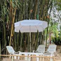 คลองหลังบ้าน Cafe camp