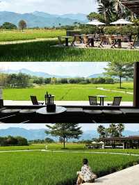 香港周邊游｜歸隱田園🌾清遠稻田咖啡館+餐廳