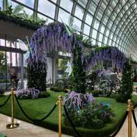 What To Do at Marina Bay Sands