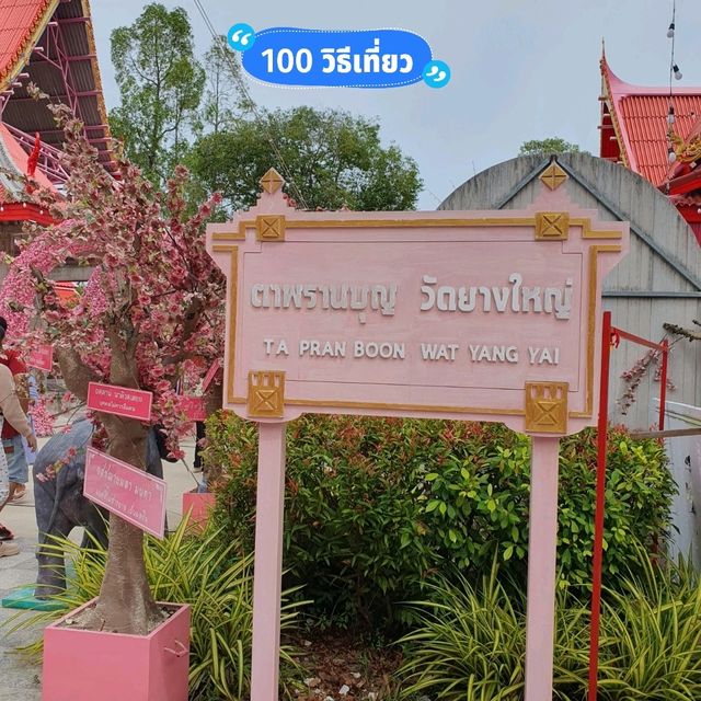 ขอพรตาพรานบุญ ณ วัดยางใหญ่ @ นครศรีธรรมราช