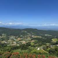 "Chiang Mai's flower farms: a feast for the eyes and a balm for the soul. Nature at its finest!