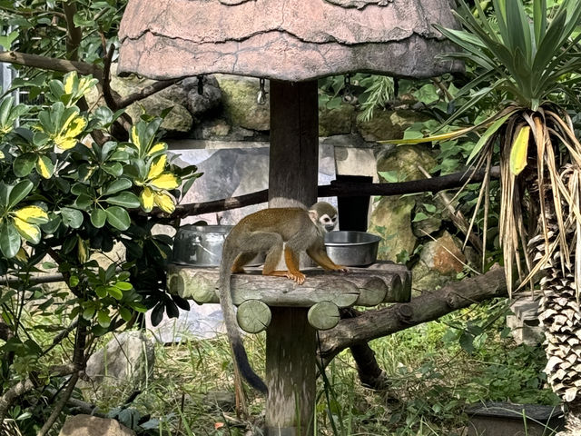 白濱動物園❤️親子遊必去景點