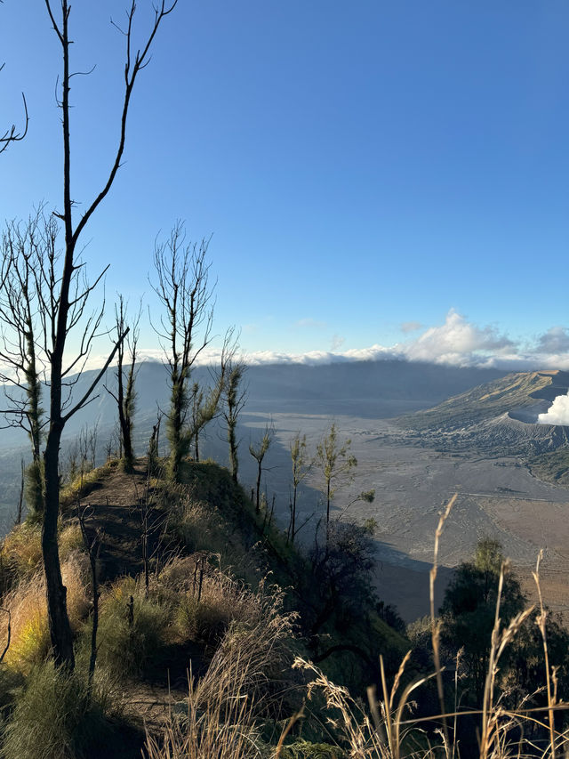 Mt. Bromo. A breathtaking adventure on a live volcano