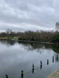 🌳 Relax and Recharge at Hyde Park 🌳