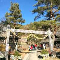西湖いやしの里根場 東京近郊的合掌村!