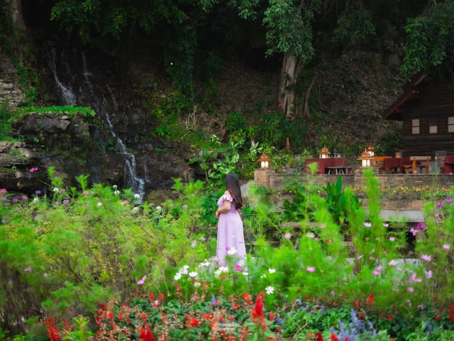 สวนดอกไม้ Flora Creek - Krisada Doi