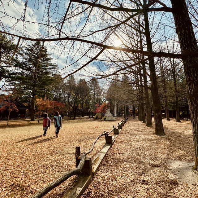 "Experience Autumn Magic on Nami Island: A Colorful Fall Getaway"