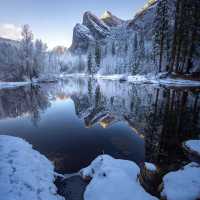 A collection of wintry reflection after fresh snowfall