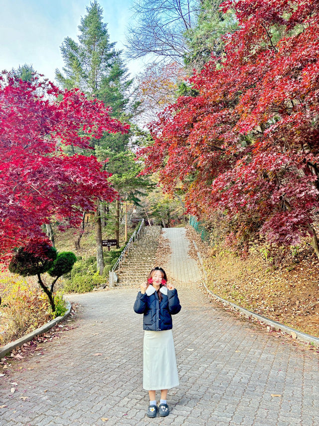 아직도 단풍 사진 못찍었다면?