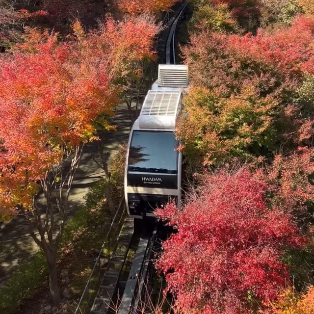 Fall in Hwadamsup, Korea