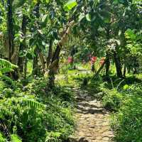 Handara Gate: Bali’s Iconic Spot