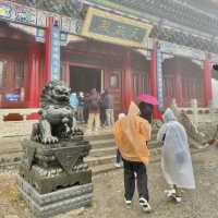 Central Wisdom: Serenity Unveiled