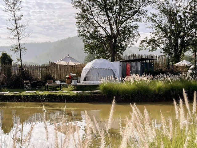 สาย camping นาทีนี้ต้องมา ปาท่องโก๋ แคมป์ปิ้ง🏕