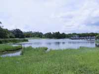 香港生態公園：米埔濕地