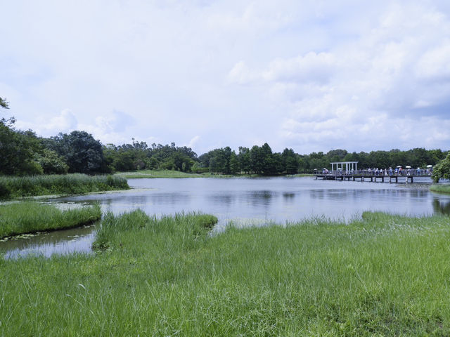 香港生態公園：米埔濕地
