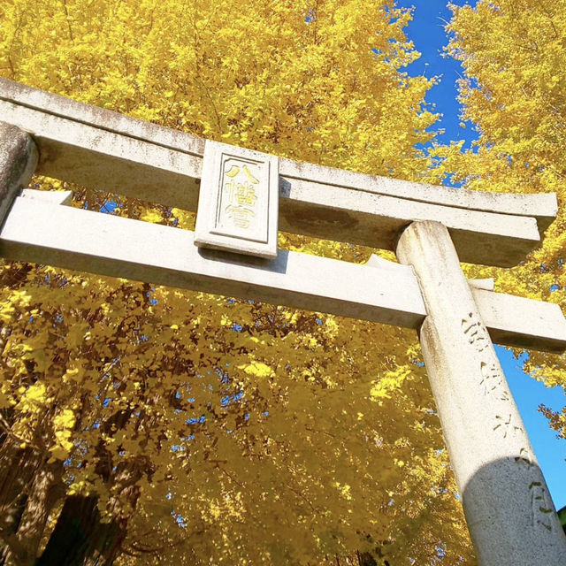 二日市八幡宮，如畫般的金黃秋日風景