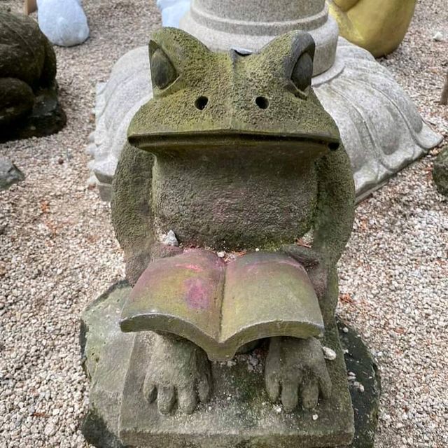 ชมความน่รักของกบ🐸ที่Nyorin-ji