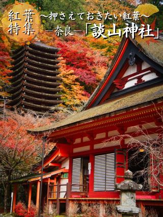[Go here] A fusion of culture and autumn leaves that have remained since the Asuka period✨Includes information on experiences that can only be had here💡