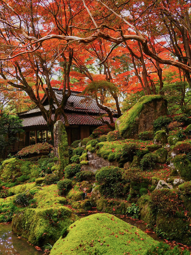 【紅葉特集】一生に一度は行きたい‼️聖徳太子ゆかりの紅葉スポット🍁