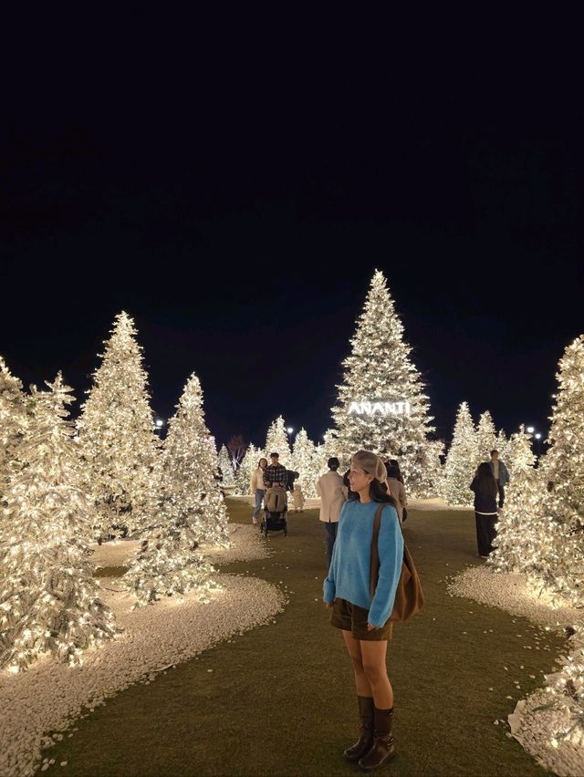 요즘 부산여행 필수 크리스마스 트리빌리지🎄
