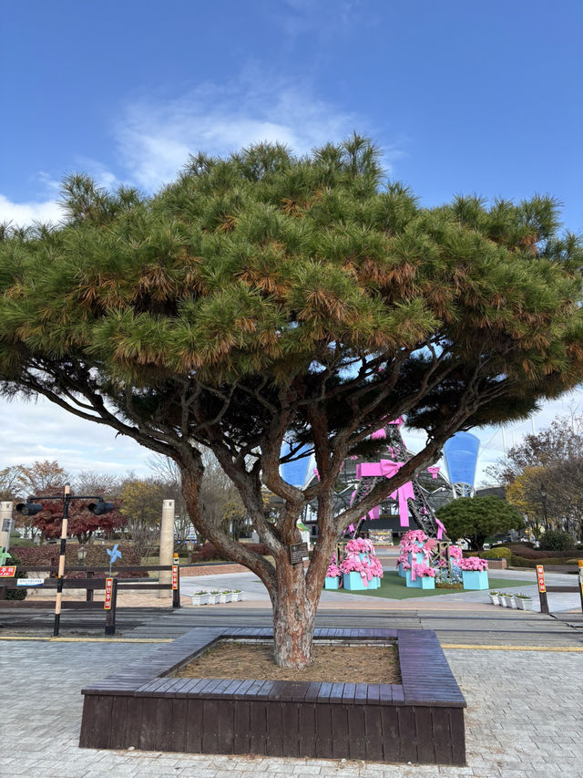 겨울에 아이와 가기 좋은 섬진강기차마을🙇‍♂️