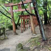 福岡太宰府、鬼滅之刃神社⛩️（寶滿宮竈門神社）