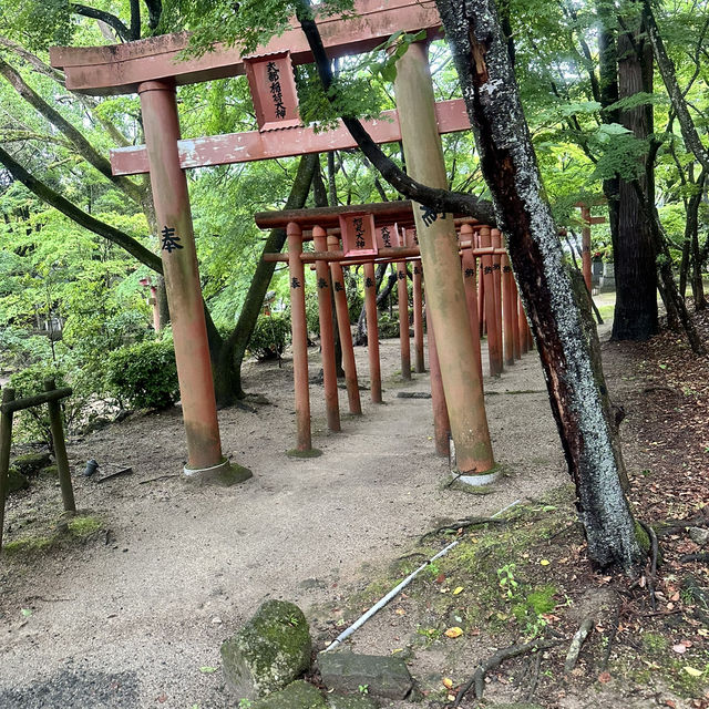 福岡太宰府、鬼滅之刃神社⛩️（寶滿宮竈門神社）