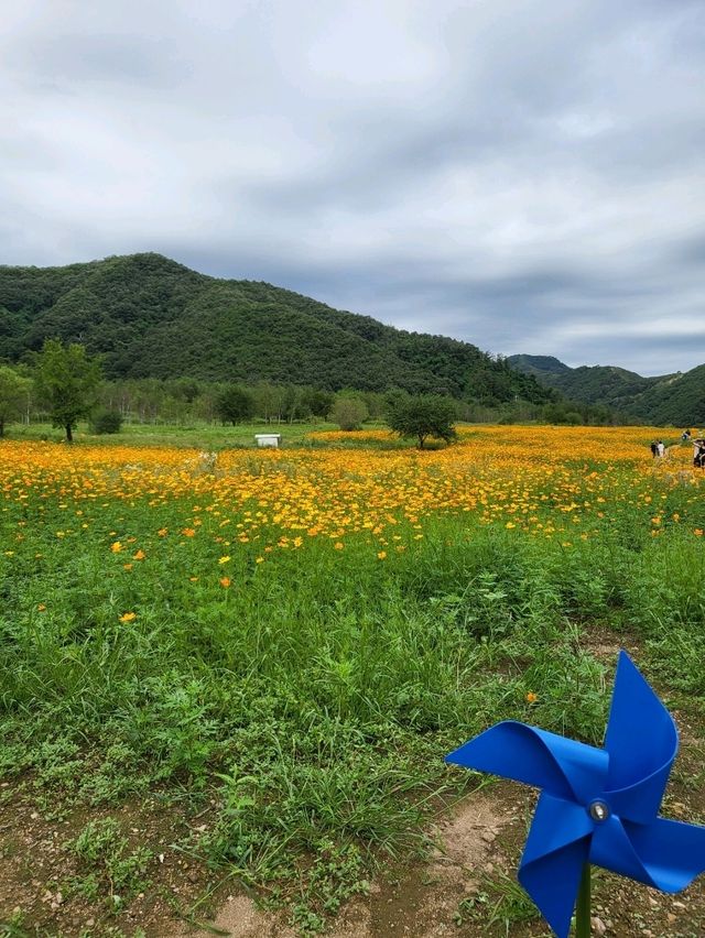 꼭한번 가봐야할 특별한 연천 재인폭포
