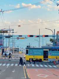 My 3-Day Winter Travel Itinerary in Busan 