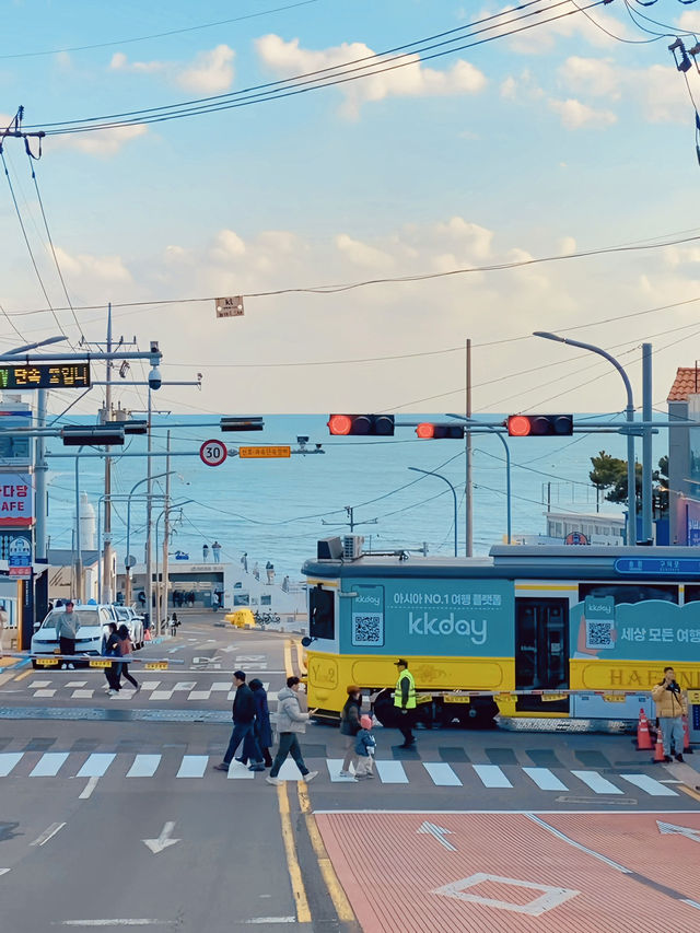 My 3-Day Winter Travel Itinerary in Busan 