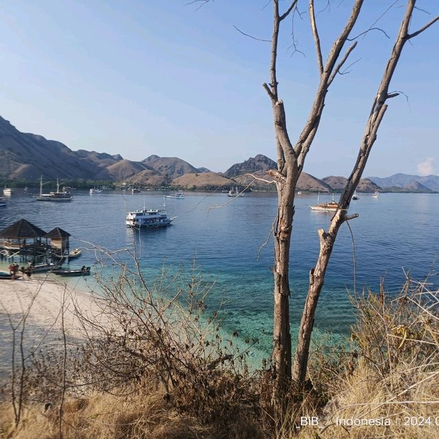 hopping & hopping & hopping 