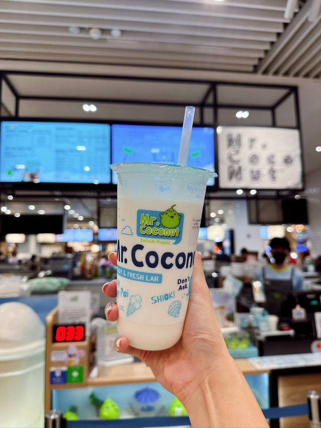 ✈️新加坡世界最高的室內瀑布國際機場🤎