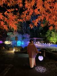 〜京都府〜年末年始ここ行って！NAKED・光の神苑 平安神宮⛩️