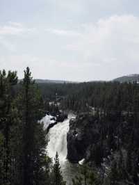Yellowstone: Where Winter Laughs at Your Thermals!