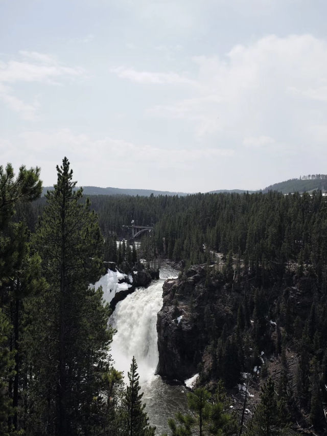 Yellowstone: Where Winter Laughs at Your Thermals!