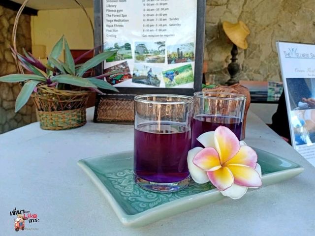 Baan Souchada Resort and Spa  สระบุรี 
