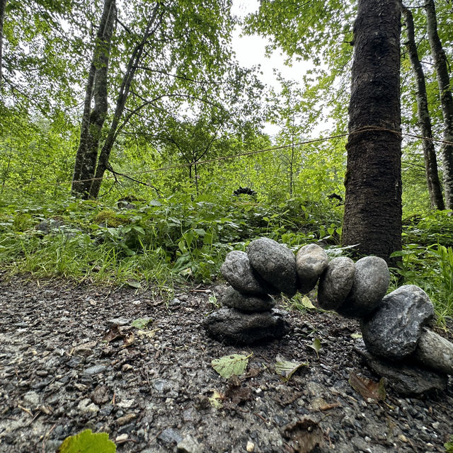 🇨🇭拜訪有超過20年歷史嘅Grindelwald 大地藝術節