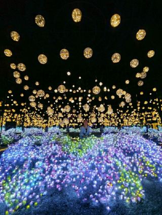 A Magical Journey at NaSatta Park