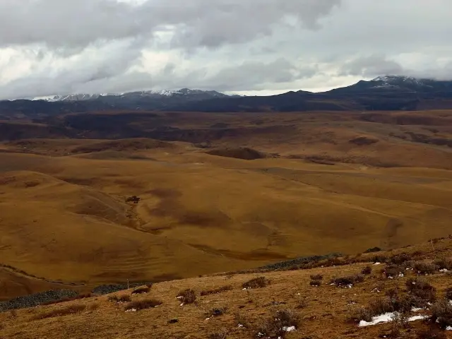 オレンジ色の秋の草原がゲディラモで見られる。