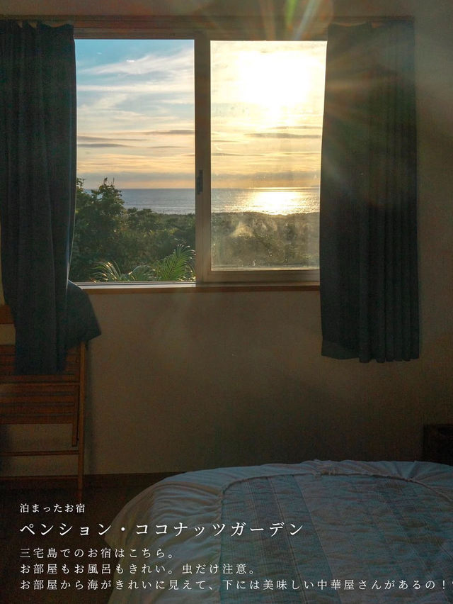 【東京諸島の過ごし方　三宅島2️⃣ 📍TOKYO】