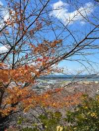 日本和歌山 青山環繞下的古老紅廟紀三井寺⛩️