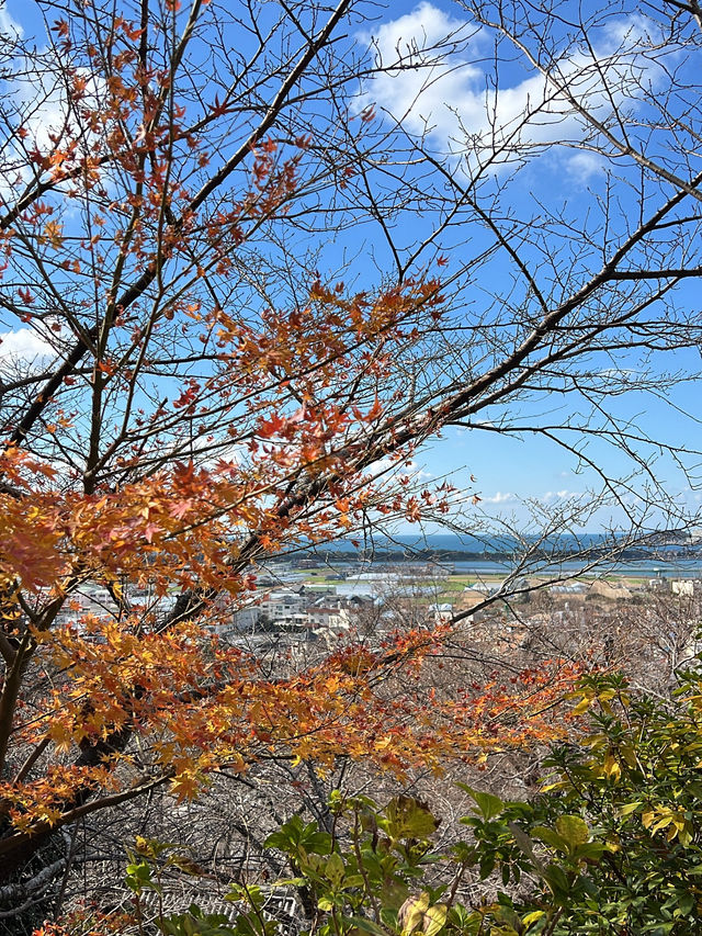 日本和歌山 青山環繞下的古老紅廟紀三井寺⛩️