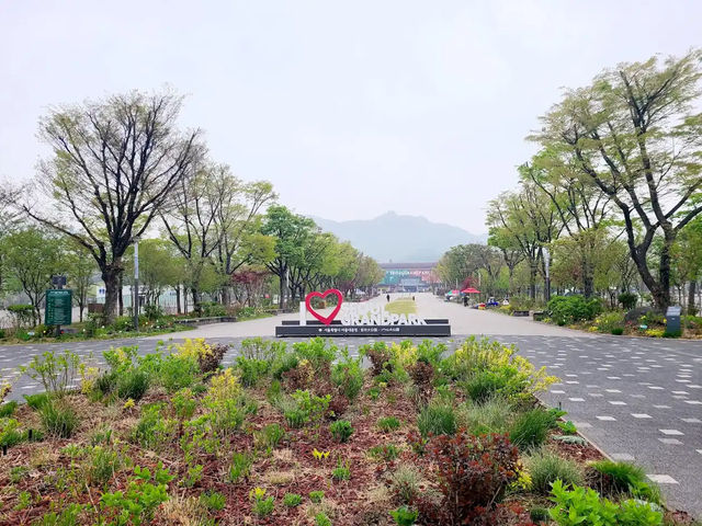 城市的綠洲：一日游首爾大公園