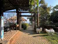 StardoiCoffee&Farmstay