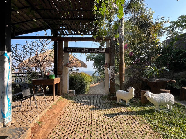 StardoiCoffee&Farmstay
