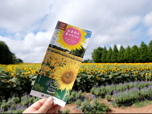 Sera Kogen Farm - Sunflower Festival