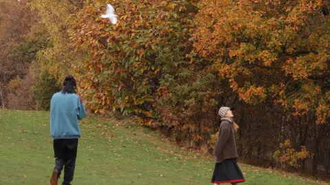 We accidentally came across the oil painting-like Roundhay Park🖼️ — traveler post in Leeds