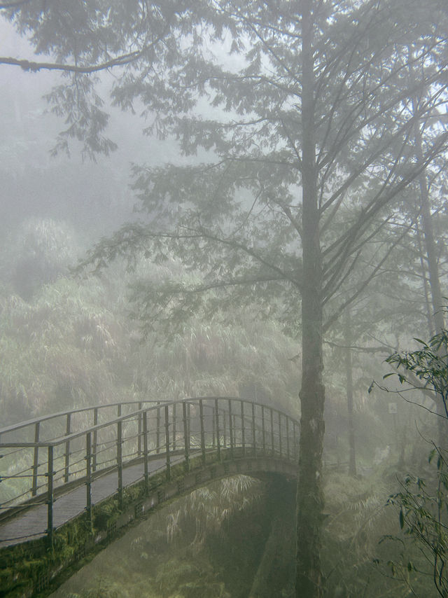 Taipingshan🍃 Nature’s Hidden Masterpiece