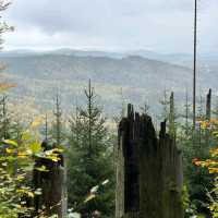 Bavarian Forest National Park
