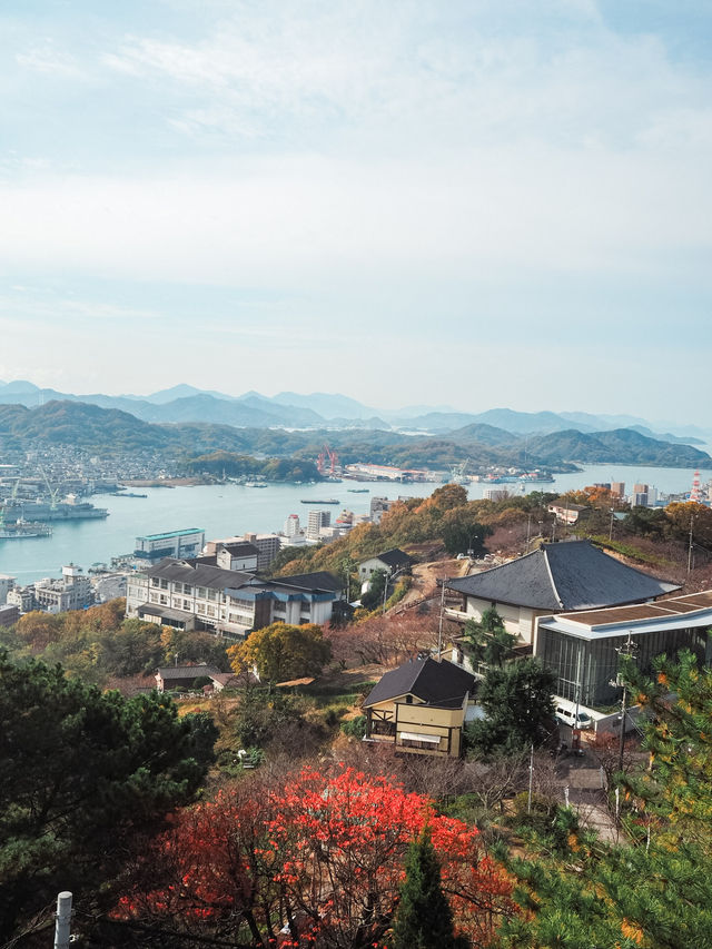 【 広島 尾道 】尾道を一望できる無料の絶景スポット🌊✨
